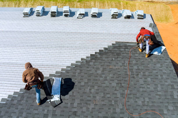 Best Shingle Roofing Installation  in Tawas City, MI