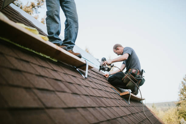 Best Roof Gutter Cleaning  in Tawas City, MI